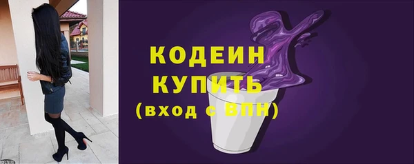 хмурый Туринск