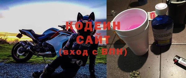 хмурый Туринск